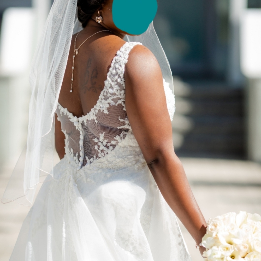 Tony Ward Nina Wedding Dress - Picture 9 of 16